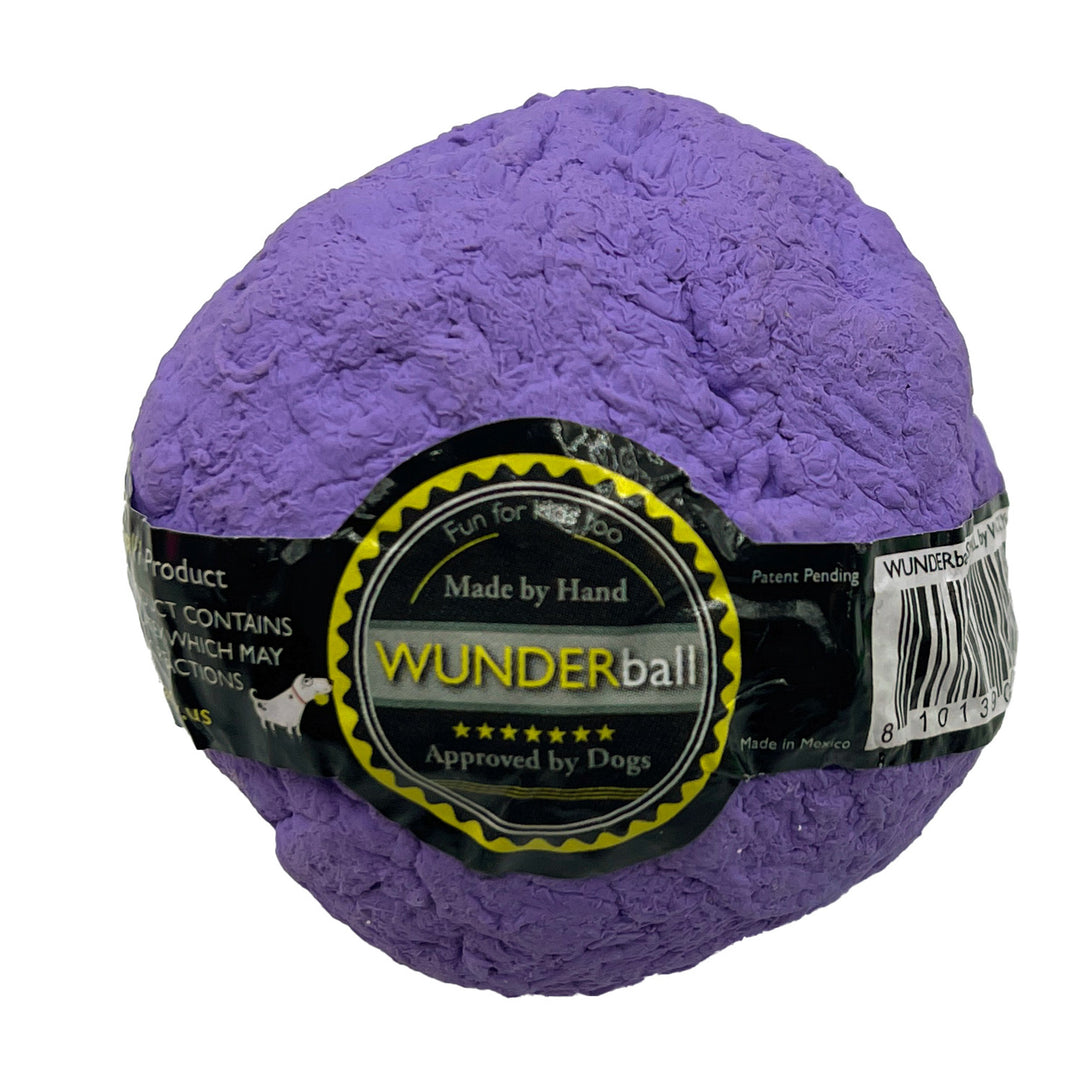 WUNDERBALL Best Fetch Toy