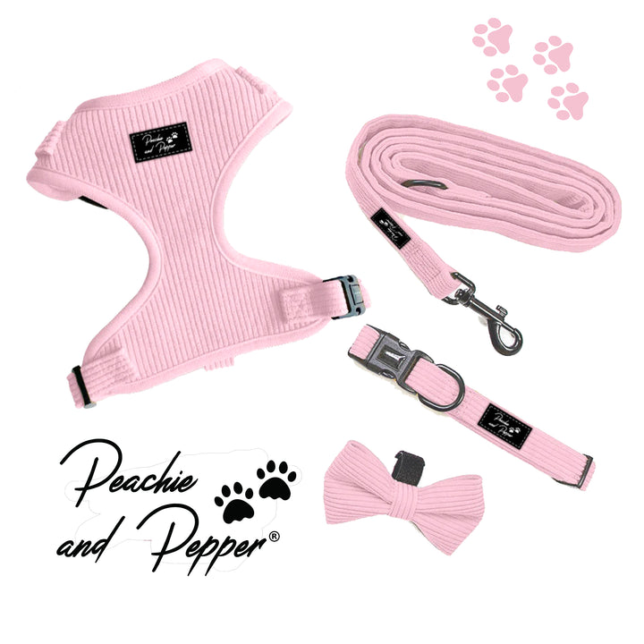 Bright Pink Corduroy Harness Set