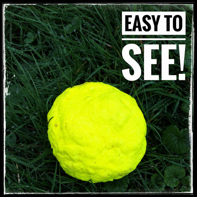 WUNDERBALL Best Fetch Toy