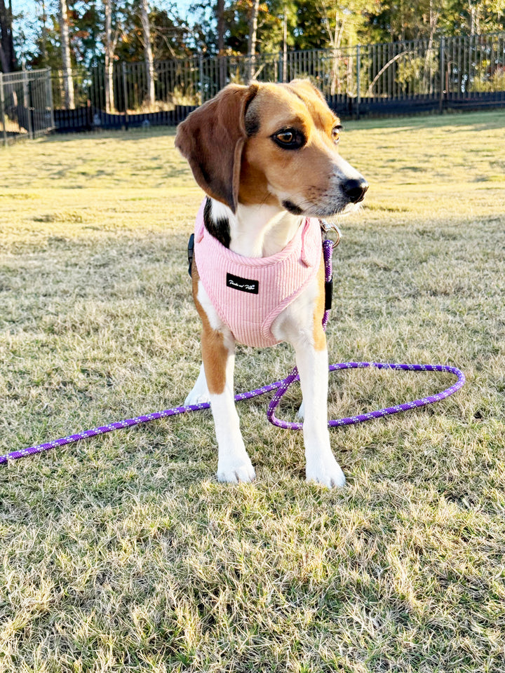 Bright Pink Corduroy Harness Set