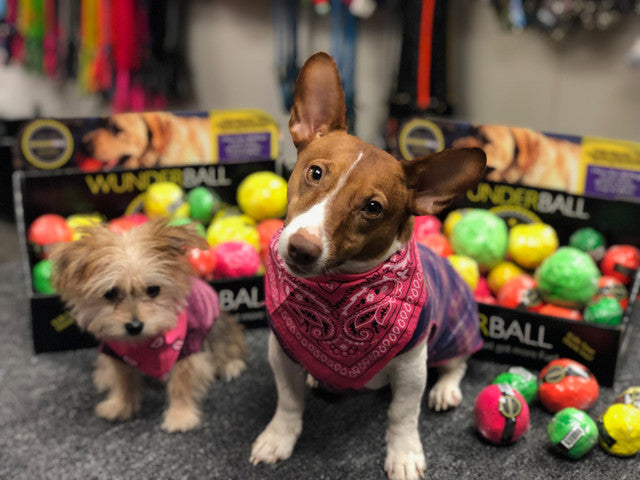 WUNDERBALL Best Fetch Toy