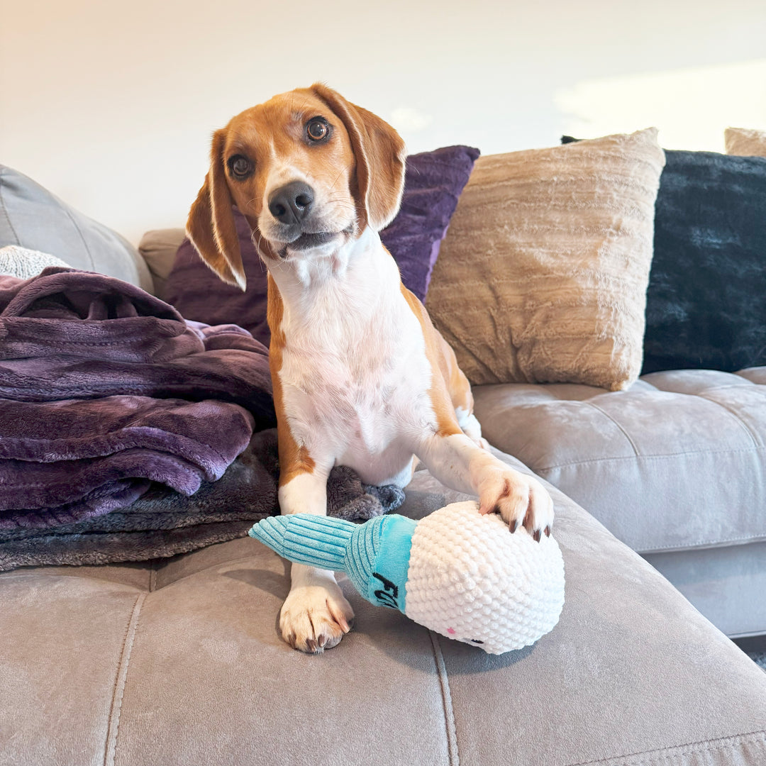 Today Is Teeriffic Plush Dog Toy Golf Ball and Tee