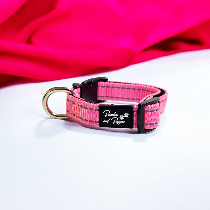 Vibrant Vibes Padded & Reflective Locking Dog Collars