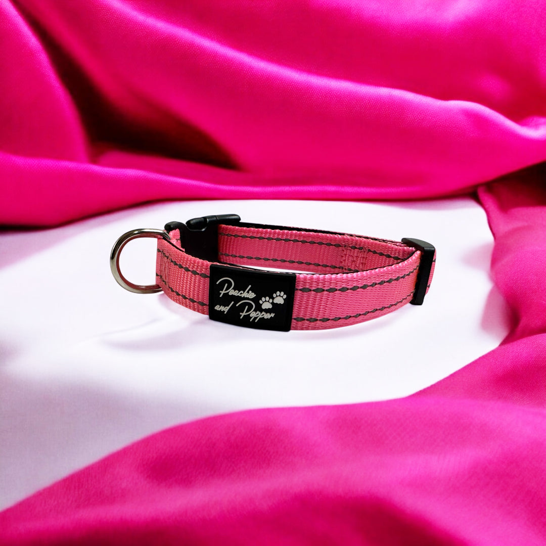 Vibrant Vibes Padded & Reflective Locking Dog Collars