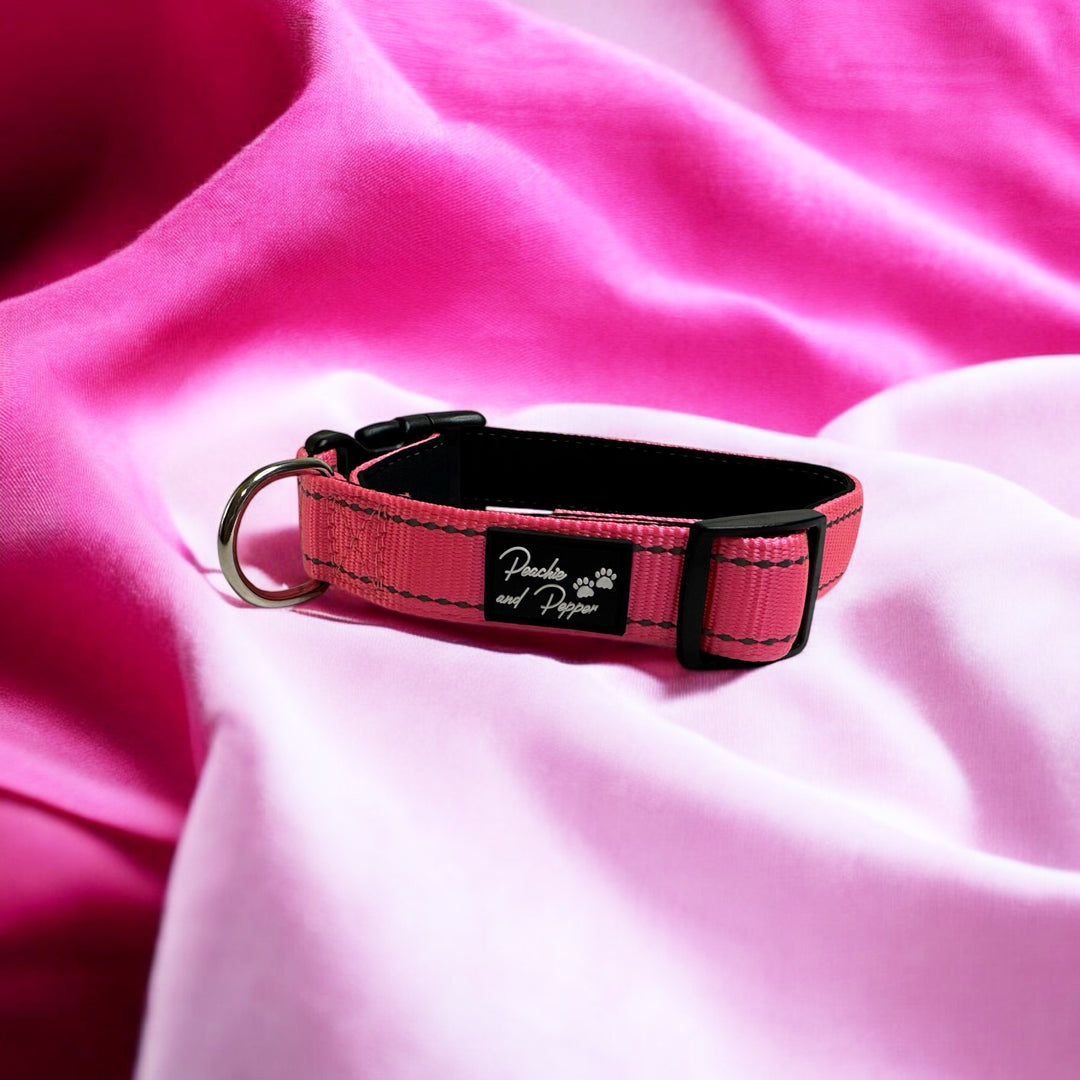 Vibrant Vibes Padded & Reflective Locking Dog Collars