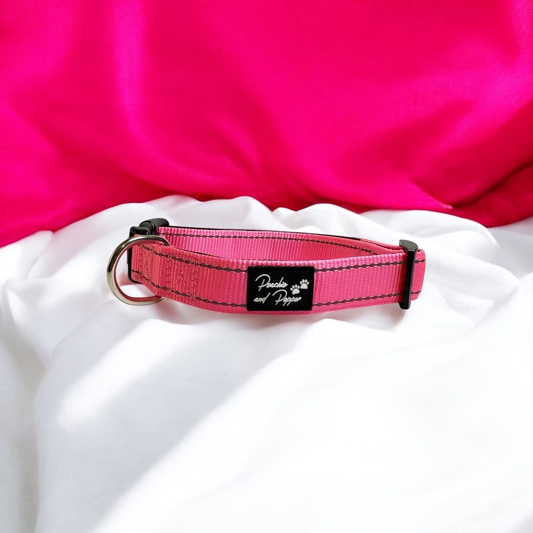 Vibrant Vibes Padded & Reflective Locking Dog Collars