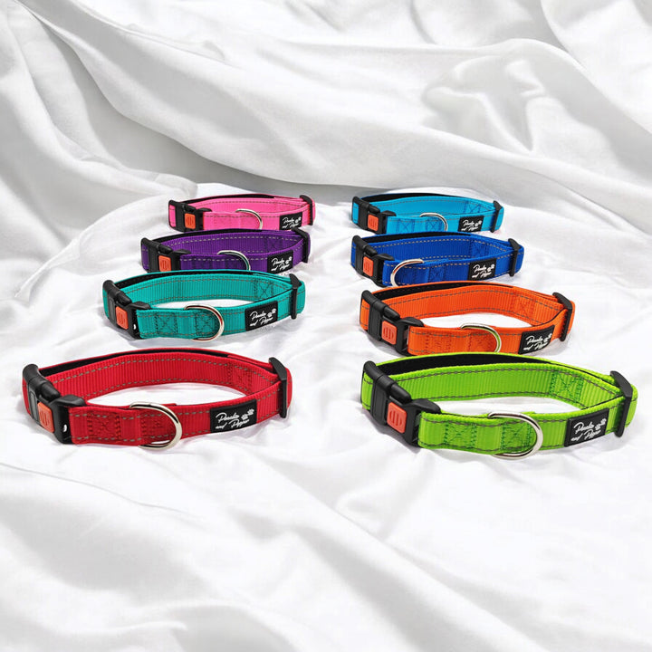 Vibrant Vibes Padded & Reflective Locking Dog Collars