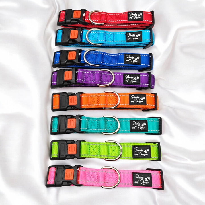 Vibrant Vibes Padded & Reflective Locking Dog Collars