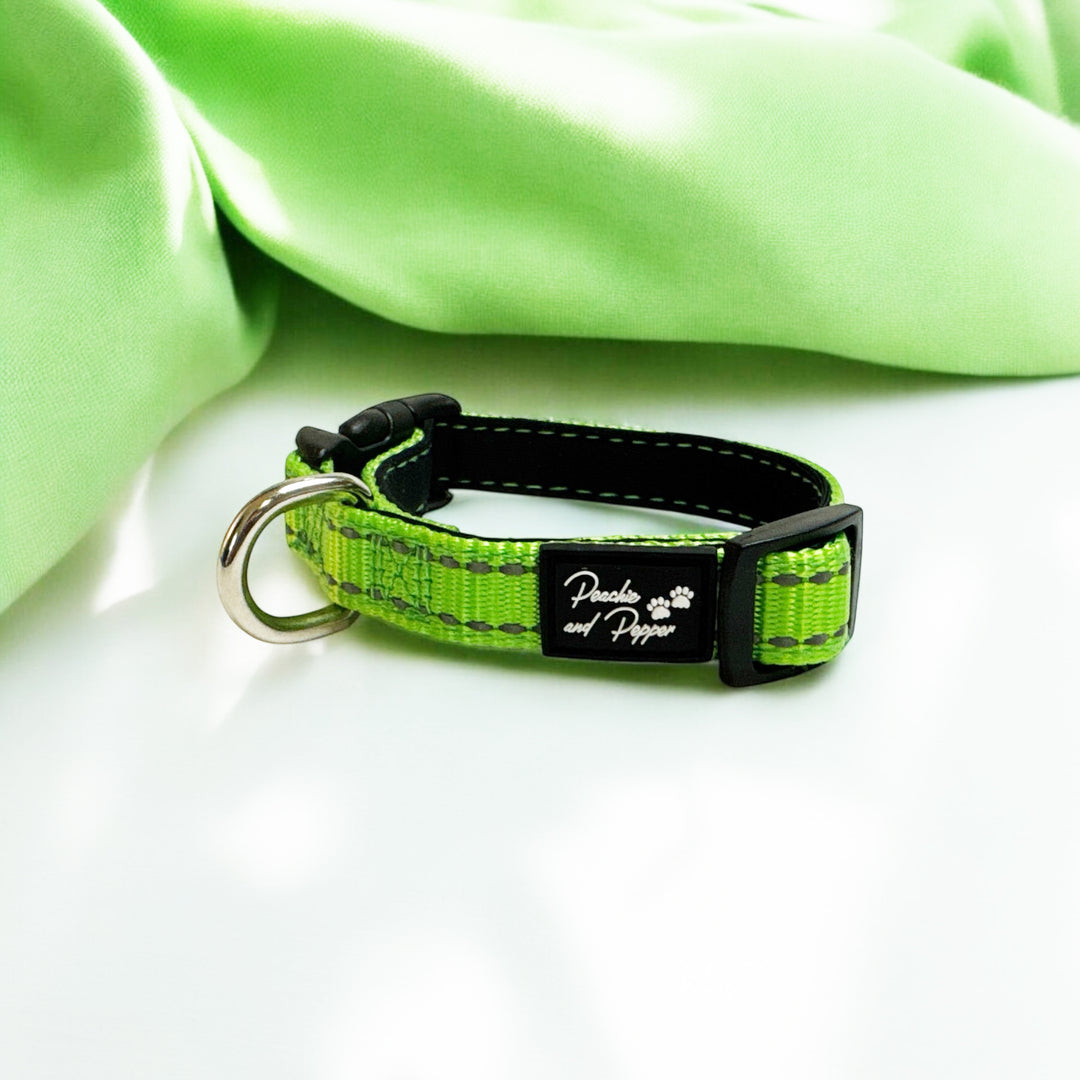 Vibrant Vibes Padded & Reflective Locking Dog Collars