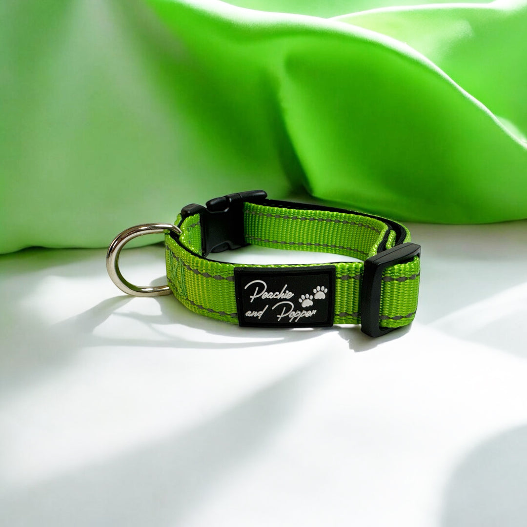 Vibrant Vibes Padded & Reflective Locking Dog Collars