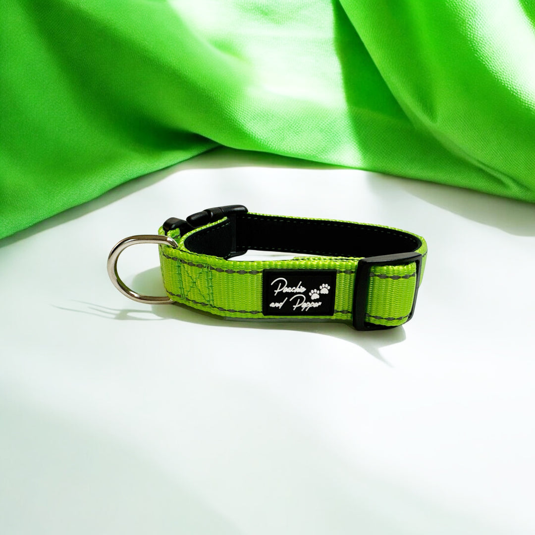 Vibrant Vibes Padded & Reflective Locking Dog Collars