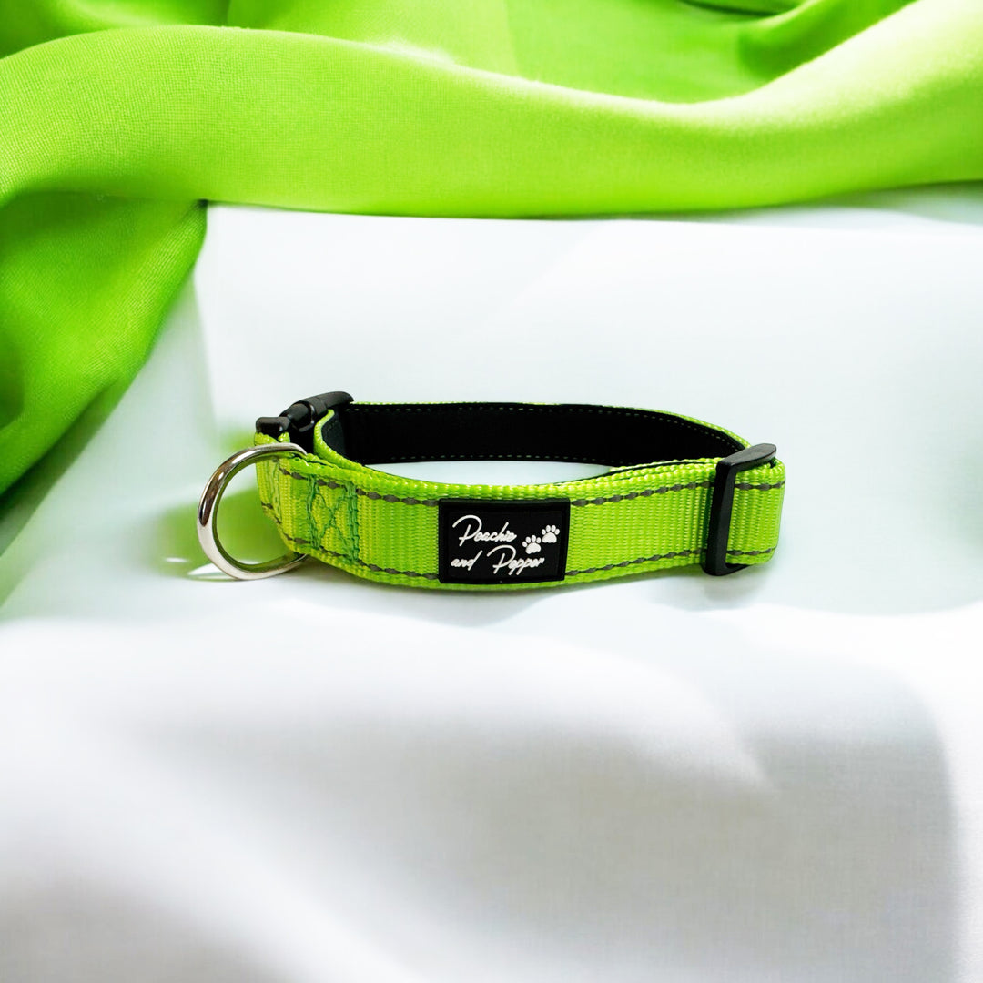 Vibrant Vibes Padded & Reflective Locking Dog Collars