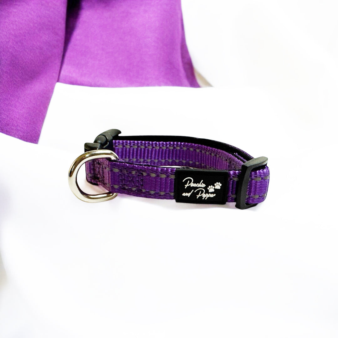 Vibrant Vibes Padded & Reflective Locking Dog Collars