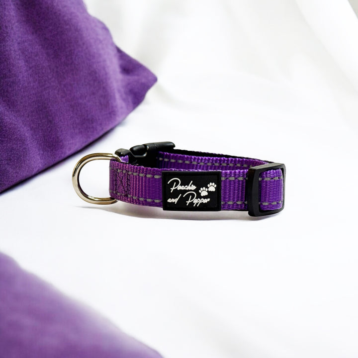 Vibrant Vibes Padded & Reflective Locking Dog Collars