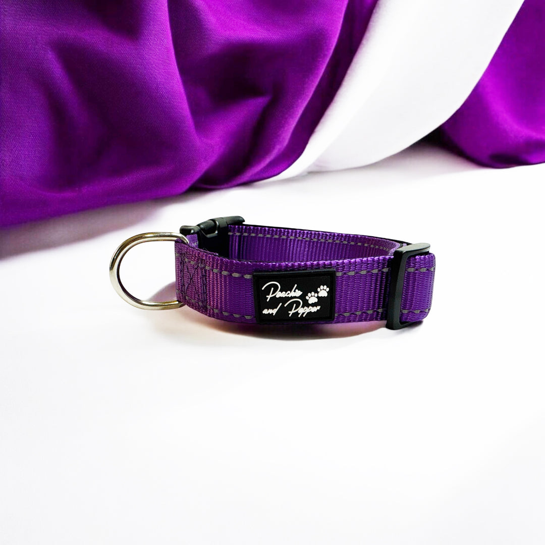 Vibrant Vibes Padded & Reflective Locking Dog Collars