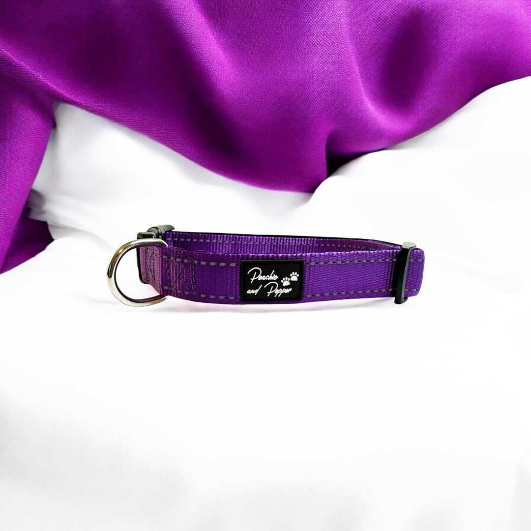 Vibrant Vibes Padded & Reflective Locking Dog Collars