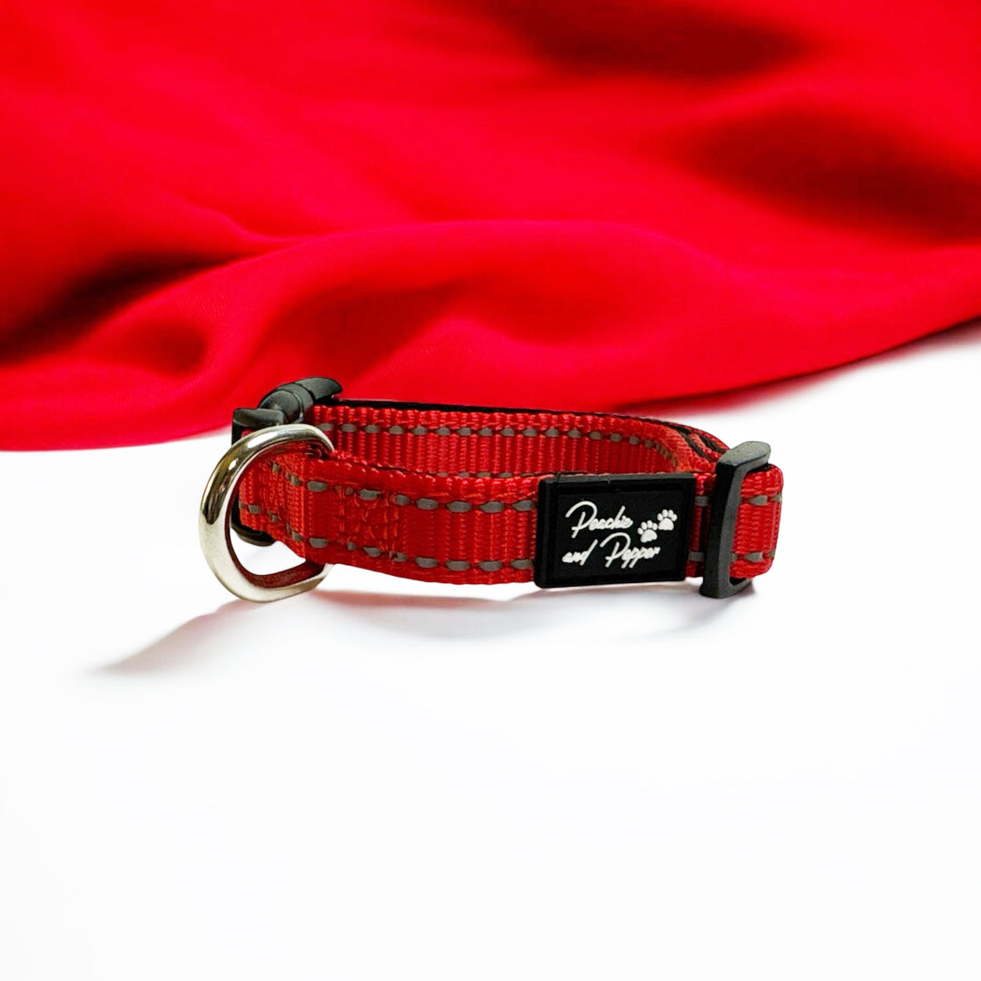 Vibrant Vibes Padded & Reflective Locking Dog Collars