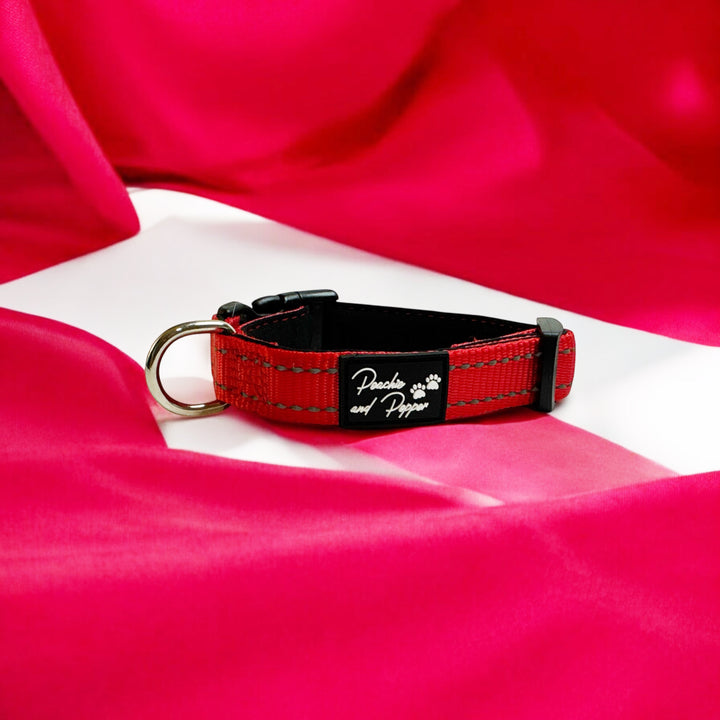 Vibrant Vibes Padded & Reflective Locking Dog Collars