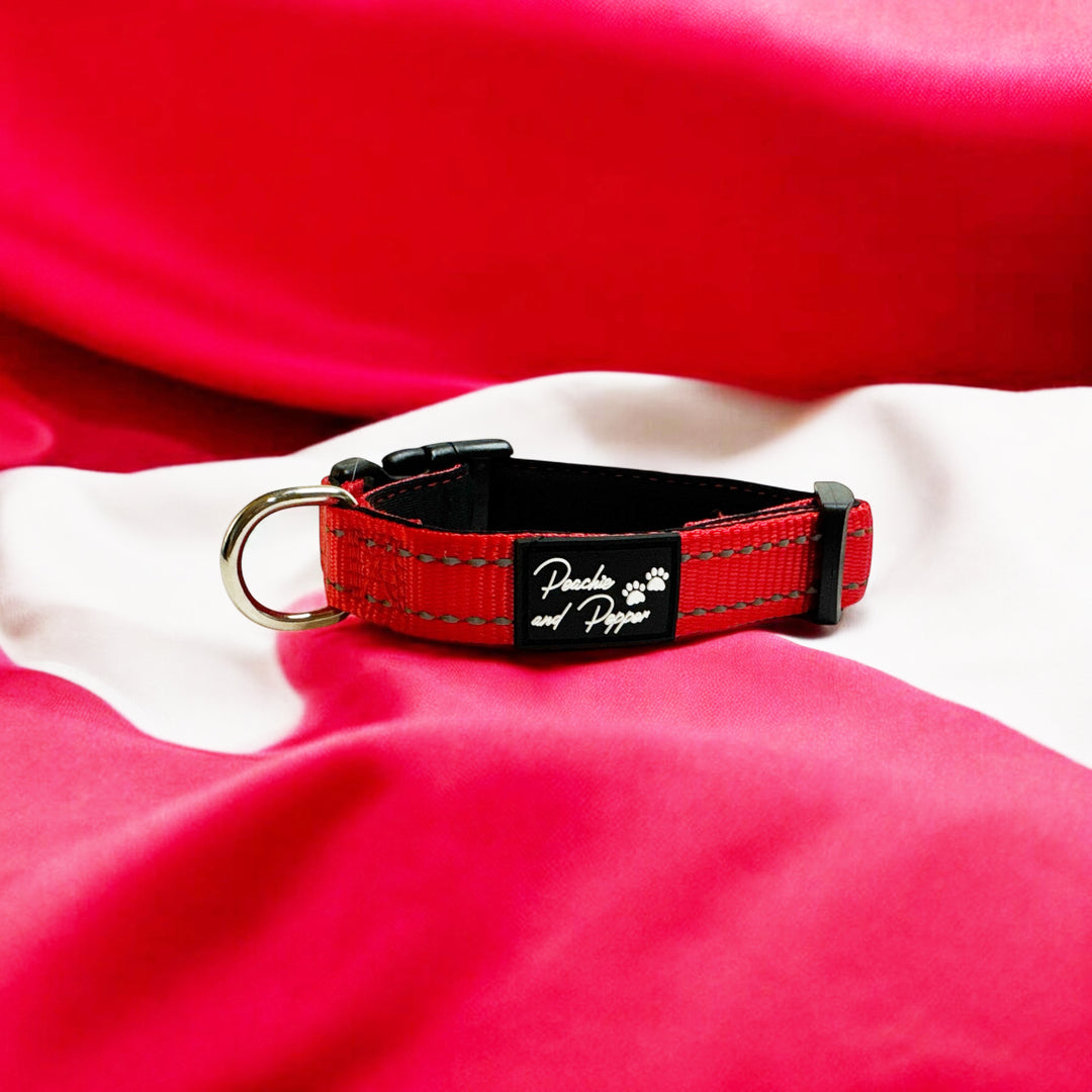 Vibrant Vibes Padded & Reflective Locking Dog Collars