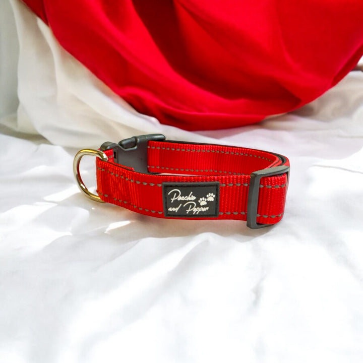 Vibrant Vibes Padded & Reflective Locking Dog Collars