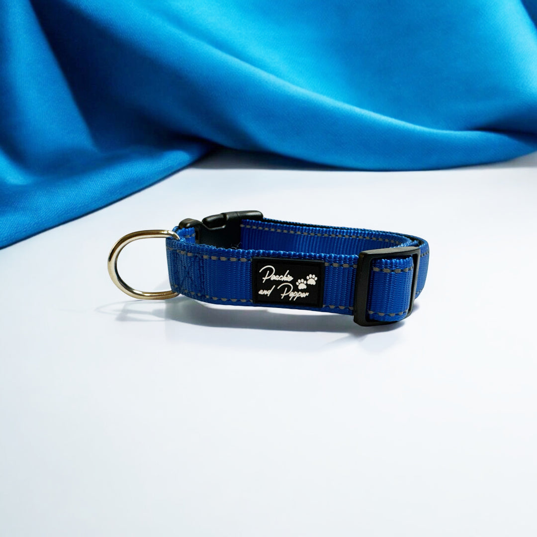 Vibrant Vibes Padded & Reflective Locking Dog Collars