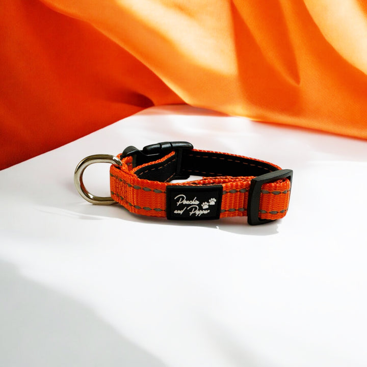 Vibrant Vibes Padded & Reflective Locking Dog Collars