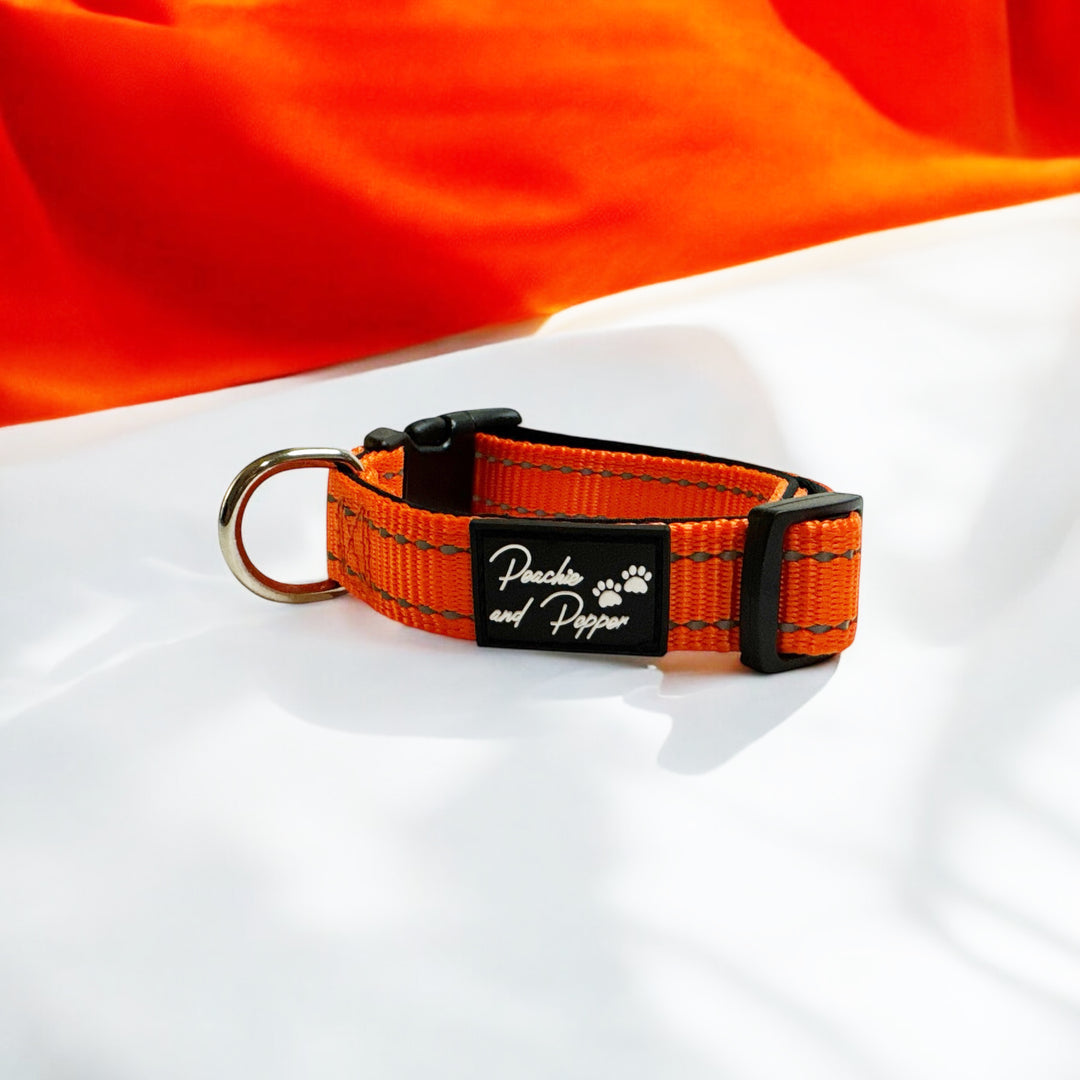 Vibrant Vibes Padded & Reflective Locking Dog Collars