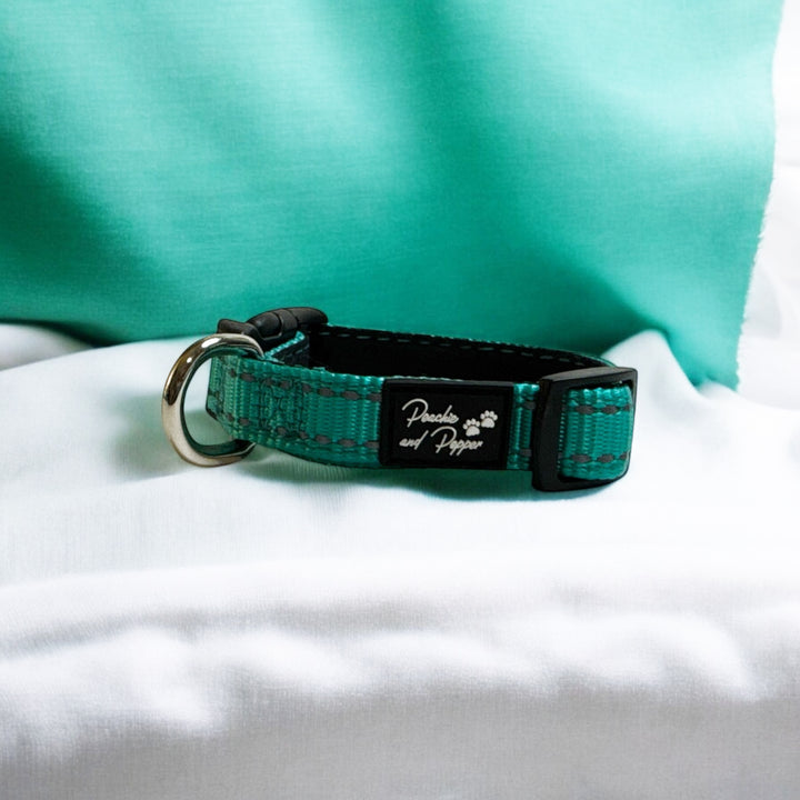 Vibrant Vibes Padded & Reflective Locking Dog Collars