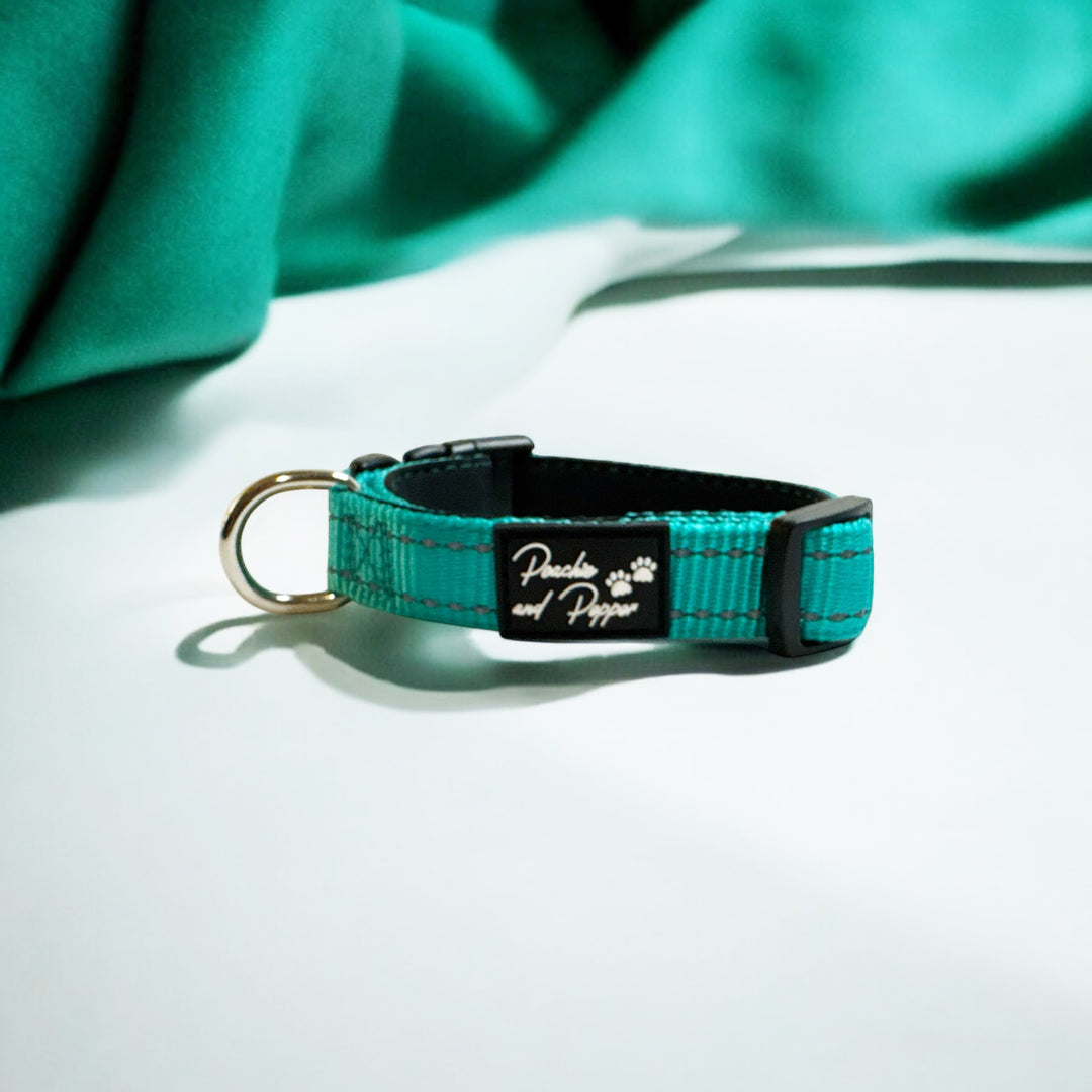 Vibrant Vibes Padded & Reflective Locking Dog Collars