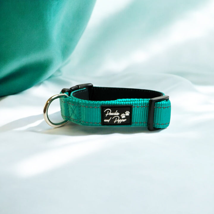 Vibrant Vibes Padded & Reflective Locking Dog Collars