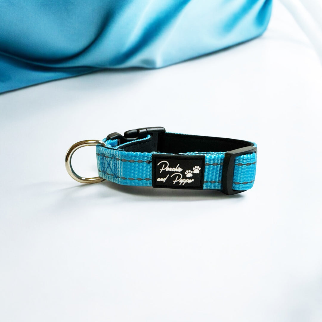 Vibrant Vibes Padded & Reflective Locking Dog Collars