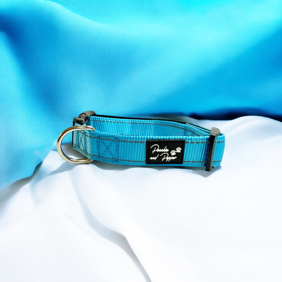 Vibrant Vibes Padded & Reflective Locking Dog Collars