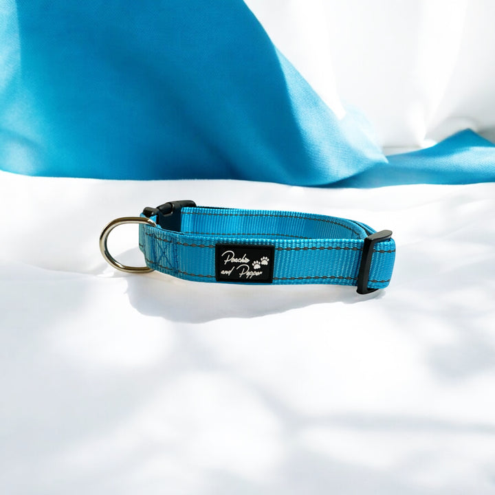 Vibrant Vibes Padded & Reflective Locking Dog Collars