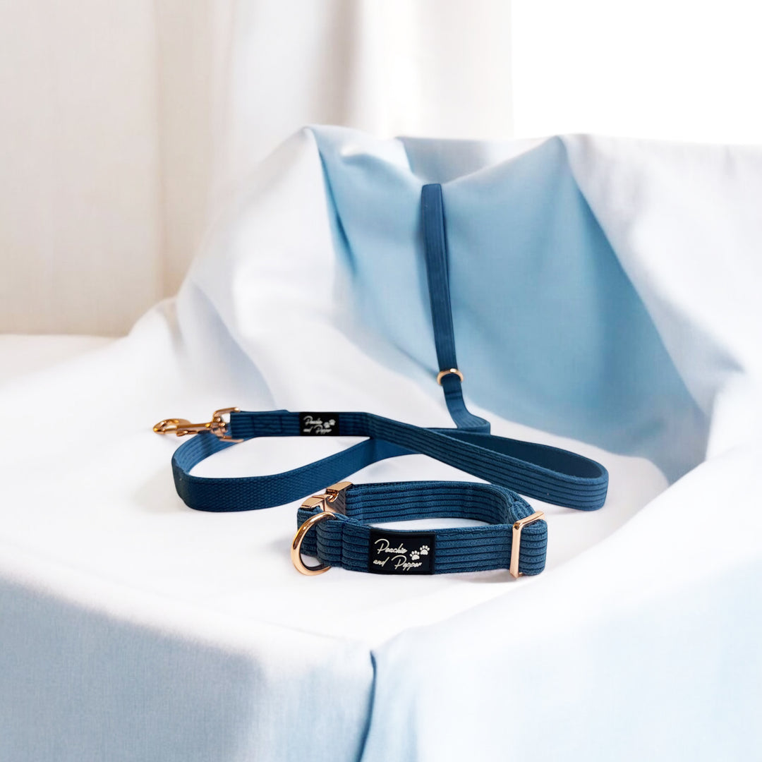 Blue Corduroy Dog Collar and Leash Set with Rose Gold Tone Hardware