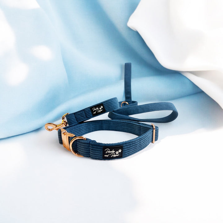 Blue Corduroy Dog Collar and Leash Set with Rose Gold Tone Hardware