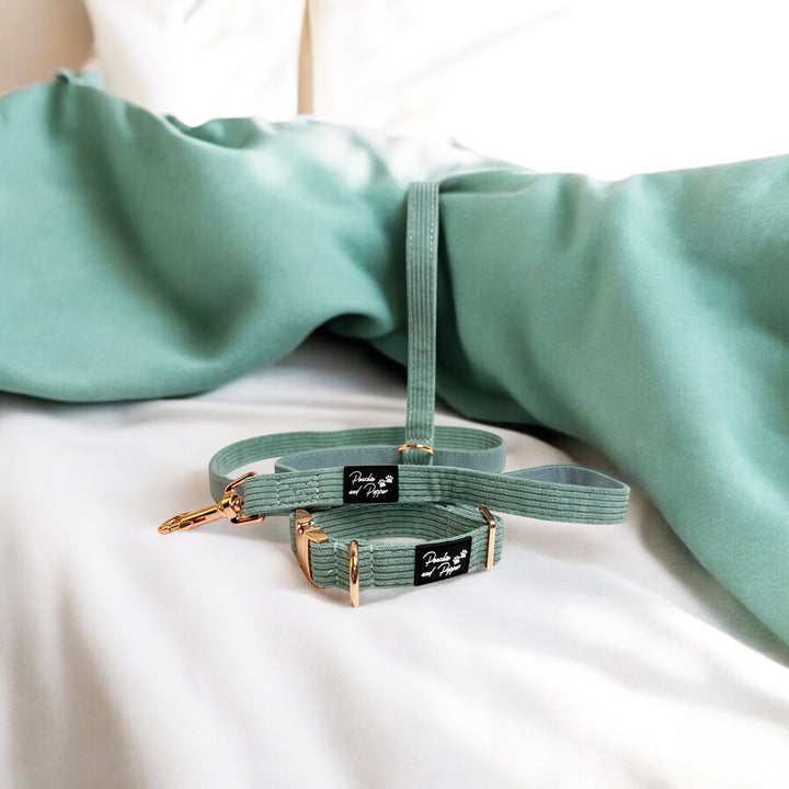 Sea Green Corduroy Dog Collar and Leash Set with Rose Gold Tone Hardware