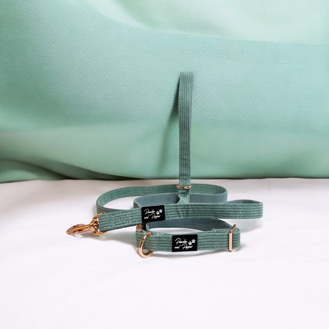 Sea Green Corduroy Dog Collar and Leash Set with Rose Gold Tone Hardware