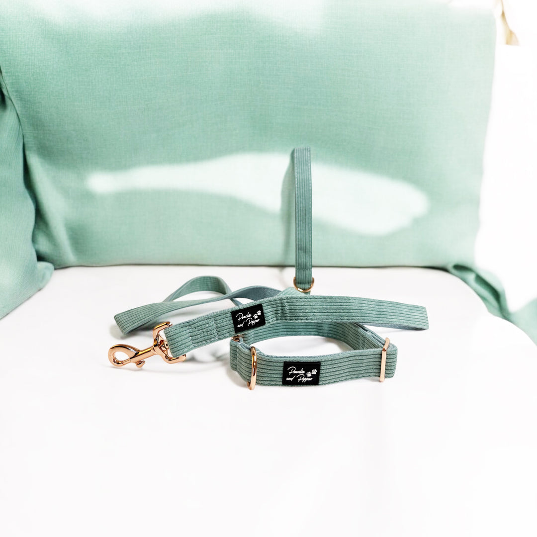 Sea Green Corduroy Dog Collar and Leash Set with Rose Gold Tone Hardware