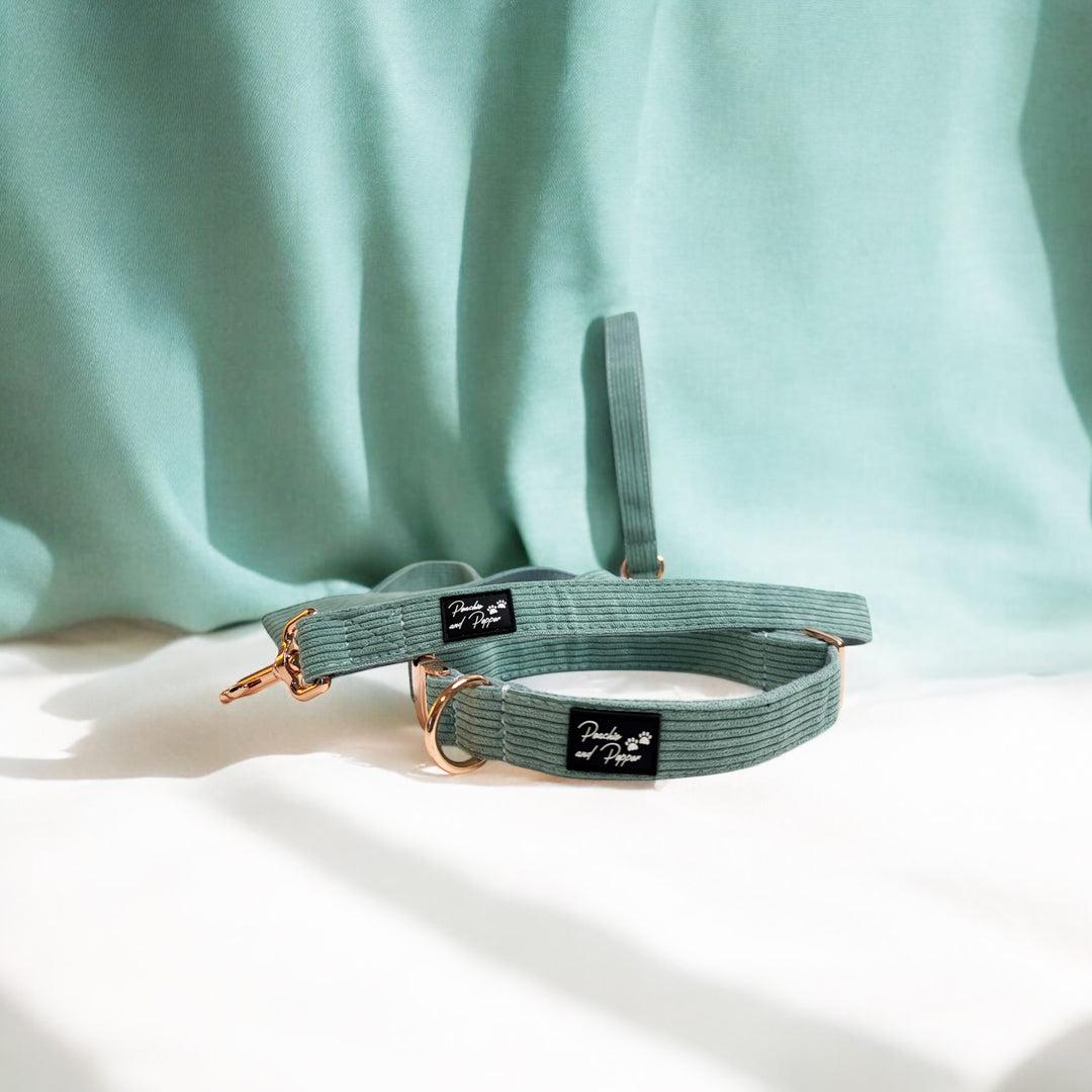 Sea Green Corduroy Dog Collar and Leash Set with Rose Gold Tone Hardware