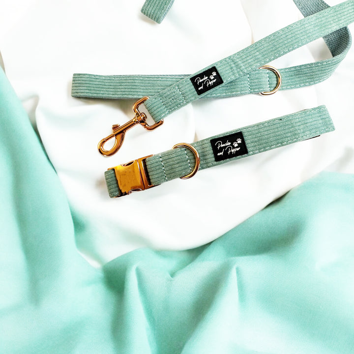 Sea Green Corduroy Dog Collar and Leash Set with Rose Gold Tone Hardware