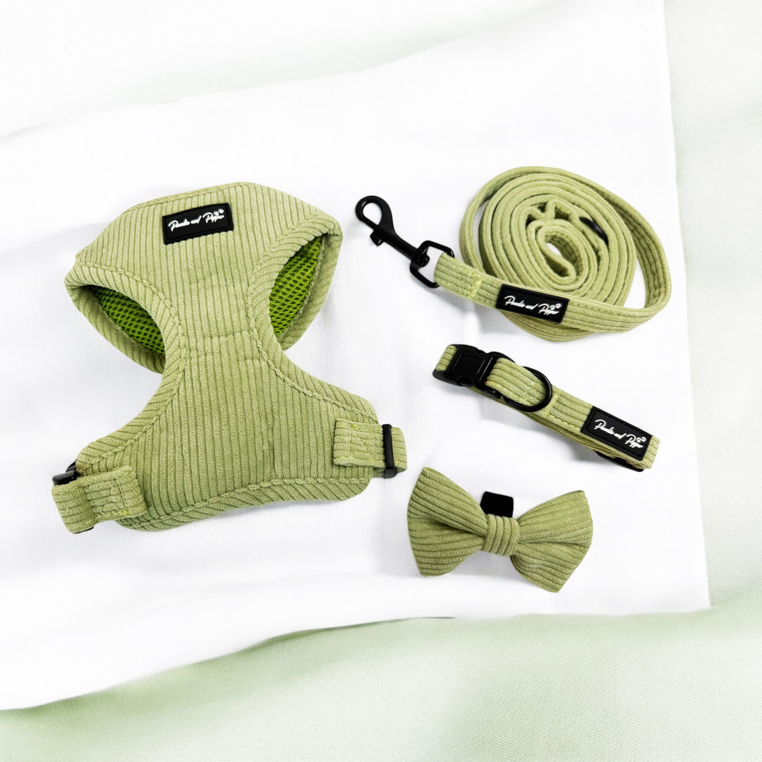 Sage Green Corduroy Harness Set