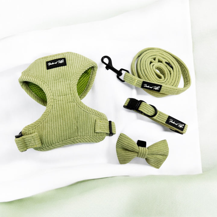 Sage Green Corduroy Harness Set