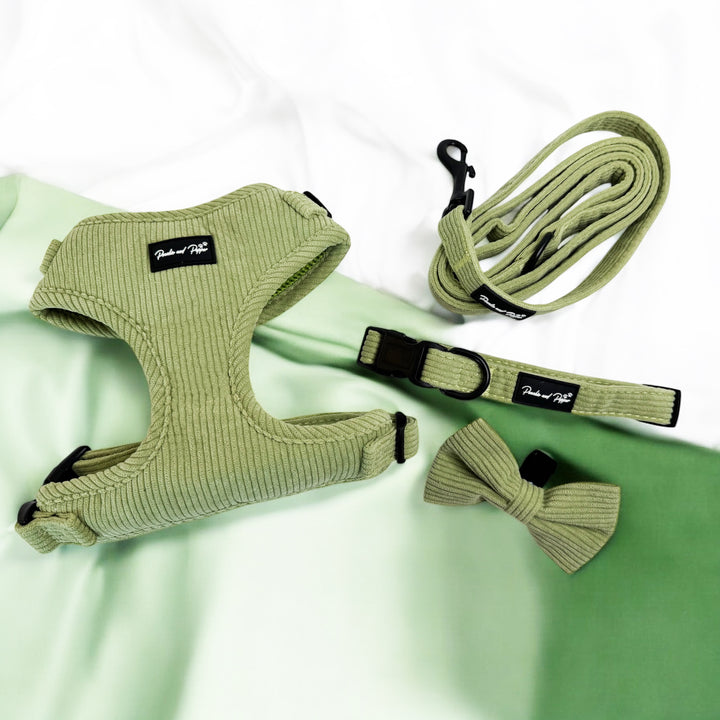 Sage Green Corduroy Harness Set