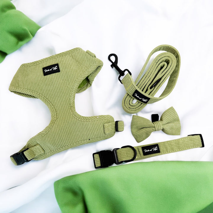 Sage Green Corduroy Harness Set