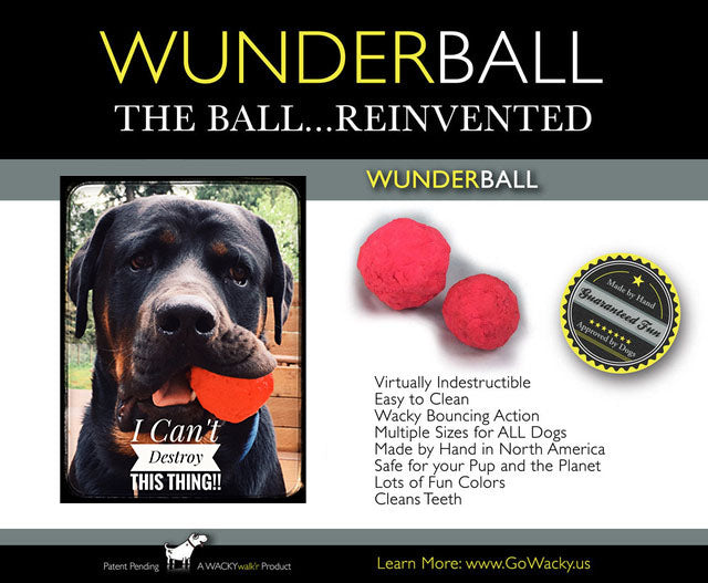 WUNDERBALL Best Fetch Toy