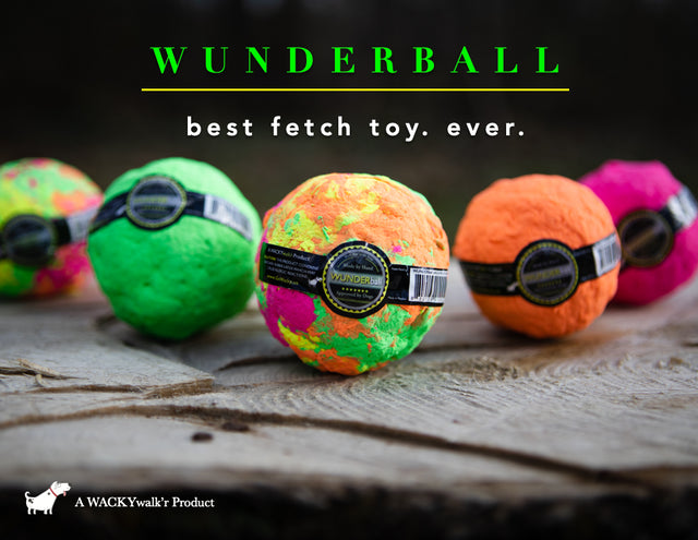 WUNDERBALL Best Fetch Toy