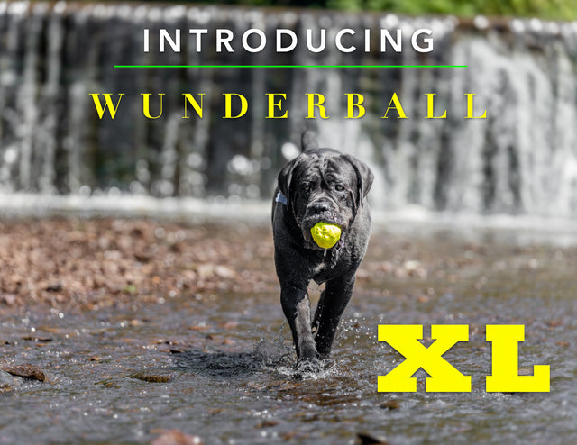 WUNDERBALL Best Fetch Toy