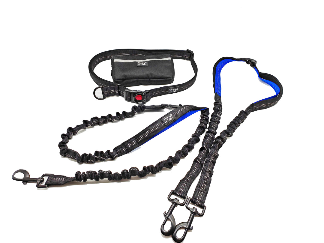 Ultimate Control Hands-Free Double-Dog Leash No-Tangle No-Pull Bungee Leash