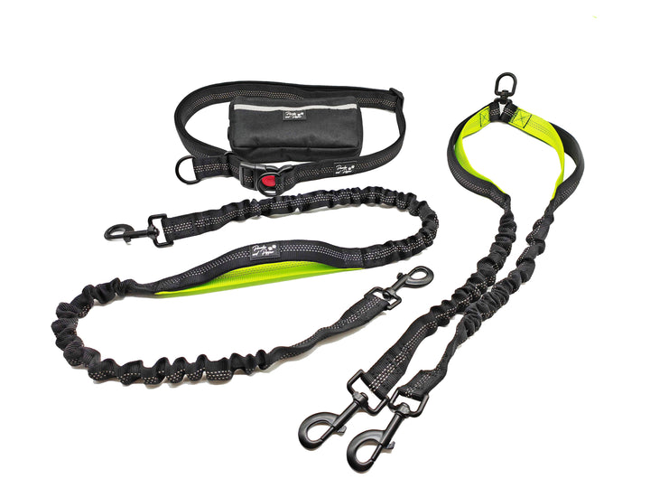 Ultimate Control Hands-Free Double-Dog Leash No-Tangle No-Pull Bungee Leash