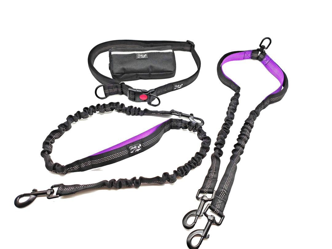 Ultimate Control Hands-Free Double-Dog Leash No-Tangle No-Pull Bungee Leash